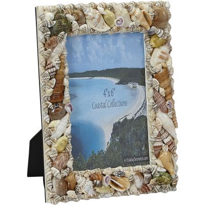 Shell Frame, Seashell Picture Frame, Shell Photo Frame, 15 1/2 2024 x 17 1/2 Seashell Picture Frame with 8x10 photo opening